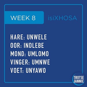 isiXhosa: Week 8